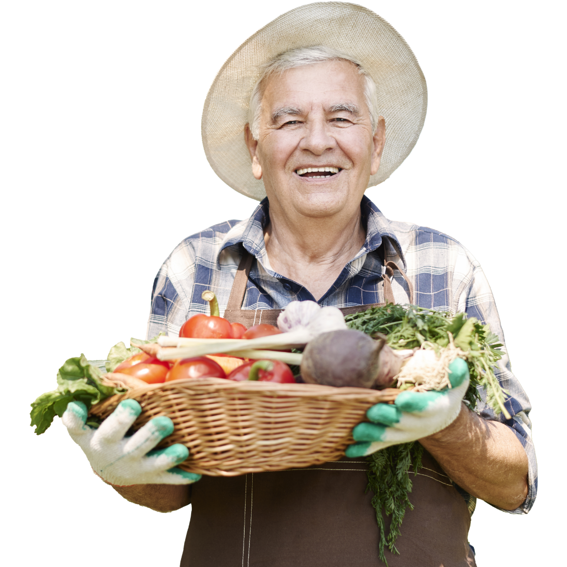 Male Gardener Aspect